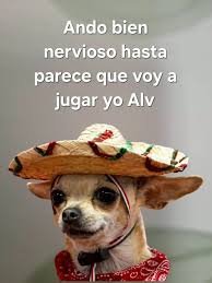 🇲🇽 México Mágico ✨ tweet media