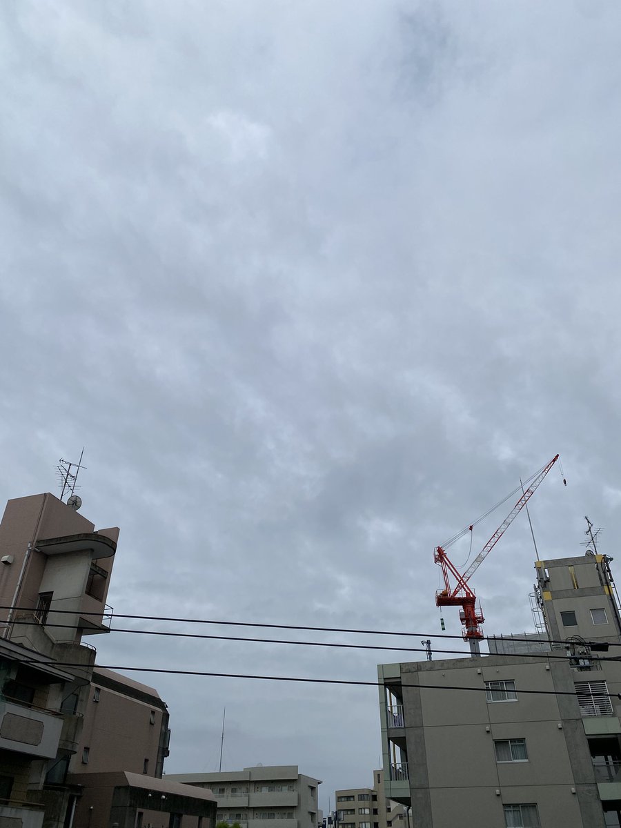 ankoemi tweet picture