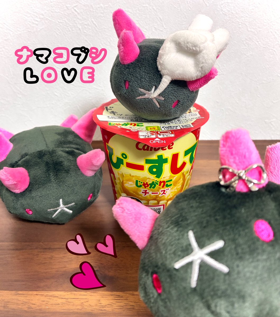 ナマコブシ