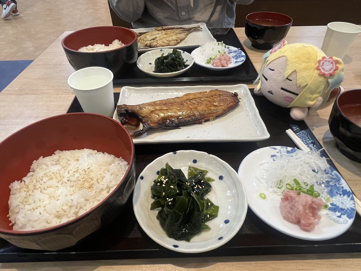 wheelie901's tweet photo. 友達と沼津港で激ウマ魚シェア！
ルリちゃんの分は無いんだよ、ごめんね… https://t.co/9SW1zQrA9E