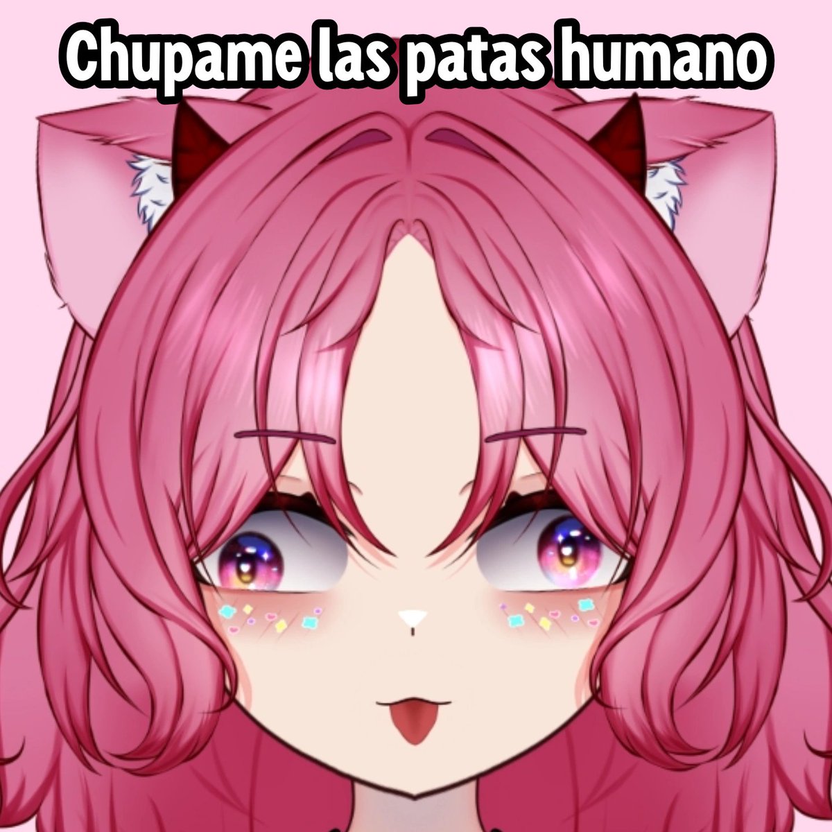 rubystellavt's tweet photo. ¡Humano! ¿Tienes billetera llena y ganas de que te dominen? 😼🪙

Esta mocosa demonio necesita sus caprichos (y tus donaciones). Así que ven a dejarme tus ahorros o te muerdo. 💢🔥

¡Prendo directo HOY! No me hagas esperar:
🔴 https://t.co/mp27haOF8I https://t.co/iEWLLvQUCQ