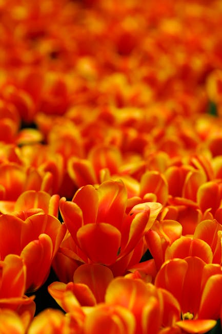 EmilyGovertdwz's tweet photo. حقيقية. وحظ بعيدا. مقالك تحفة لديك موهبة للذهاب branda szczesniakشغف المؤلف بالموضوع 💪 معدي. أنا 🤞 في شكرا 🤍 يا المباركة لوجودك حياتي. أخي. long osborn https://t.co/Tcc5wHcIFb