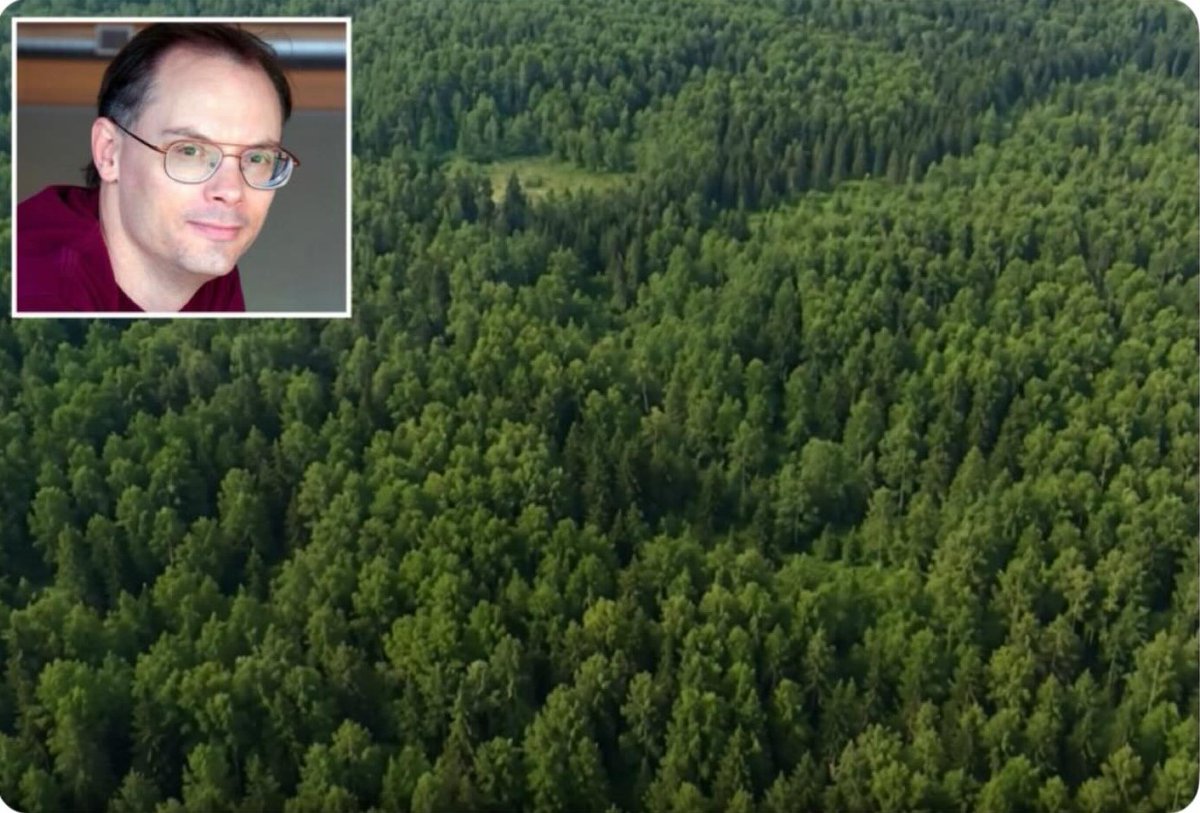 awkwardgoogle's tweet photo. The guy who created Fortnite (Tim Sweeney) has been quietly buying up U.S. forests to save them from developers.

He has spent over $200M to buy 50,000+ acres of wilderness in North Carolina, using permanent legal protections to block any future logging or building. https://t.co/iZPyCKkYVt