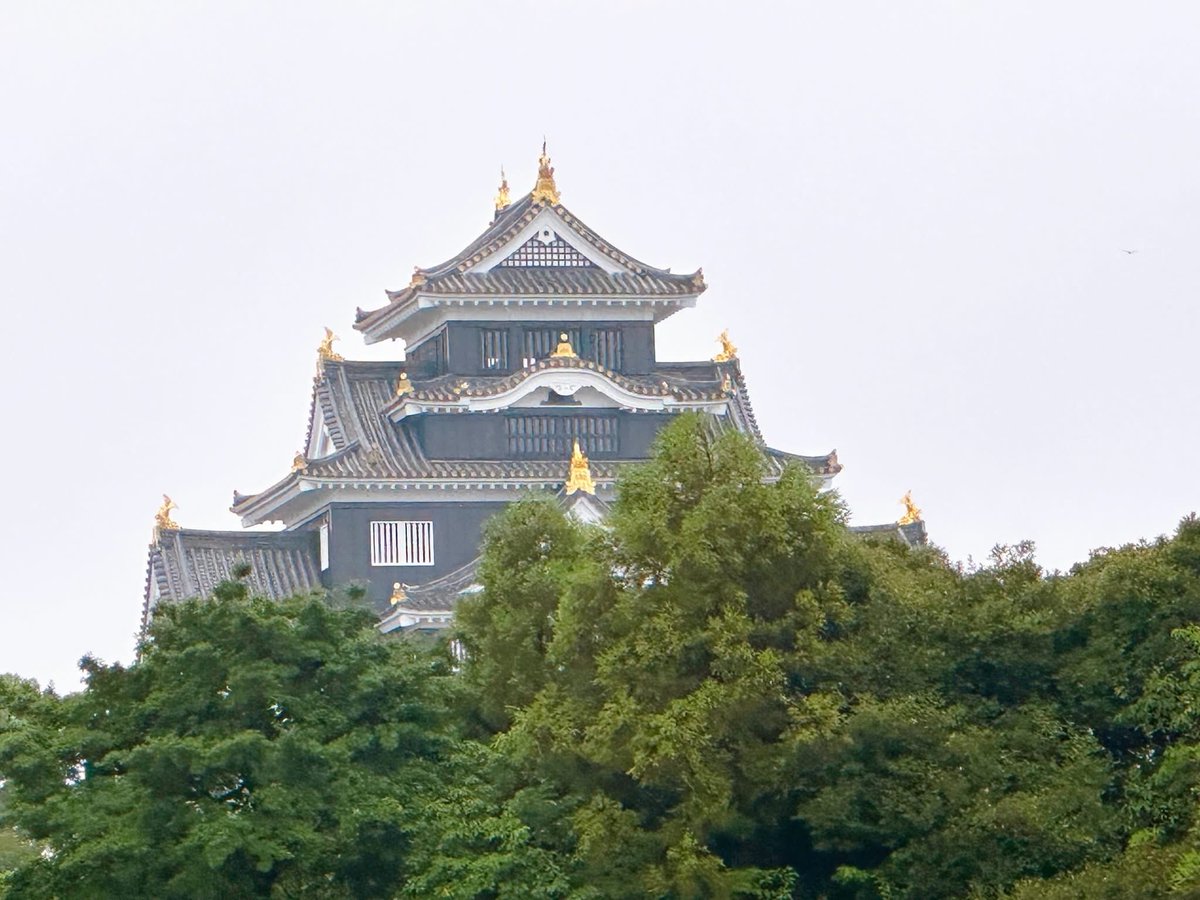 Setouchimyfarm's tweet photo. 毎年7月の第1日曜日は、岡山後楽園の夏の伝統行事「観蓮節（かんれんせつ）」に足を運ぶ。

江戸時代から続くこの会は、夏の早朝にしか咲かない蓮（はす）の花を愛でる、非常に風流な催しだ。

お琴の生演奏に耳を傾け、お茶やお粥に舌鼓を打ち、蓮の葉からお酒を飲む「象鼻杯（ぞうびはい）」を嗜む。

それはまるで、江戸時代の大名になったかのような贅沢な朝のひとときである。

しかし、我が家が家族でここを訪れる本当の目的は、園内の中央南側に広がる水田「井田（せいでん）」を見学することにある。

この「井田」は、岡山藩ニ代藩主・池田綱政公が築いた大名庭園の思想と、江戸時代の農業重視の姿勢（農本主義）を象徴する、極めて重要な遺構なのだ。

元禄13年（1700年）に一応の完成を見た後楽園は、藩主の静養や賓客をもてなす場所でありながら、随所に農村の景観が取り入れられていた。当時は現在の井田の周辺にさらに広大な田畑があり、大麦や小麦、菜種などが栽培されていたという。

あえて庭園の中心にこのような農風景を配した背景には、綱政公の強い「勧農（農業を奨励する）」の精神があった。

江戸時代、藩の財政や人々の暮らしの基盤は、米をはじめとする農産物であった。

綱政公は、自身や後継者たちが美しい庭園を眺める際、同時に百姓の重労働や米作りのプロセスが自然と目に入る環境を作った。

これは、統治者として大地と民への感謝を忘れず、農業を尊ぶ心を学ぶための「教育的装置」でもあった。

この水田が「井田」と呼ばれるのは、古代中国の理想的な土地制度「井田制」に由来する。

土地を漢字の「井」の字のように9つに区画し、周囲の私田を耕す農民たちが、中央の公田を共同で耕作して領主に納税するという、相互扶助のシステムだ。

後楽園の井田はこの思想をもとに、美しく整然とした長方形の区画としてデザインされ、東アジアの理想的な農政思想を庭園という芸術の中に具現化した。

近代以降、庭園のスタイルが変わってもこの井田は失われず、今なお実際に米作りが行われる「生きた遺構」として機能している。

毎年6月には伝統衣装に身を包んだ田植え娘による「お田植え祭」が行われ、秋には黄金色の稲穂が実り、冬には収穫されたもち米で餅つきが行われる。

池田綱政公が庭園に込めた「農を尊ぶ心」と自然の循環の美しさは、300年以上の時を超えた現代の後楽園にも色鮮やかに息づいている。

農は国の根幹なり。
現在の為政者にこの心があるのだろか？

我々農業者も忘れてはならない勧農の精神
田植えが終わった初夏の朝  改めて襟を正すのである。

#自然農法 #観蓮節 #岡山後楽園 #井田制
#池田綱政公 #農を尊ぶ心