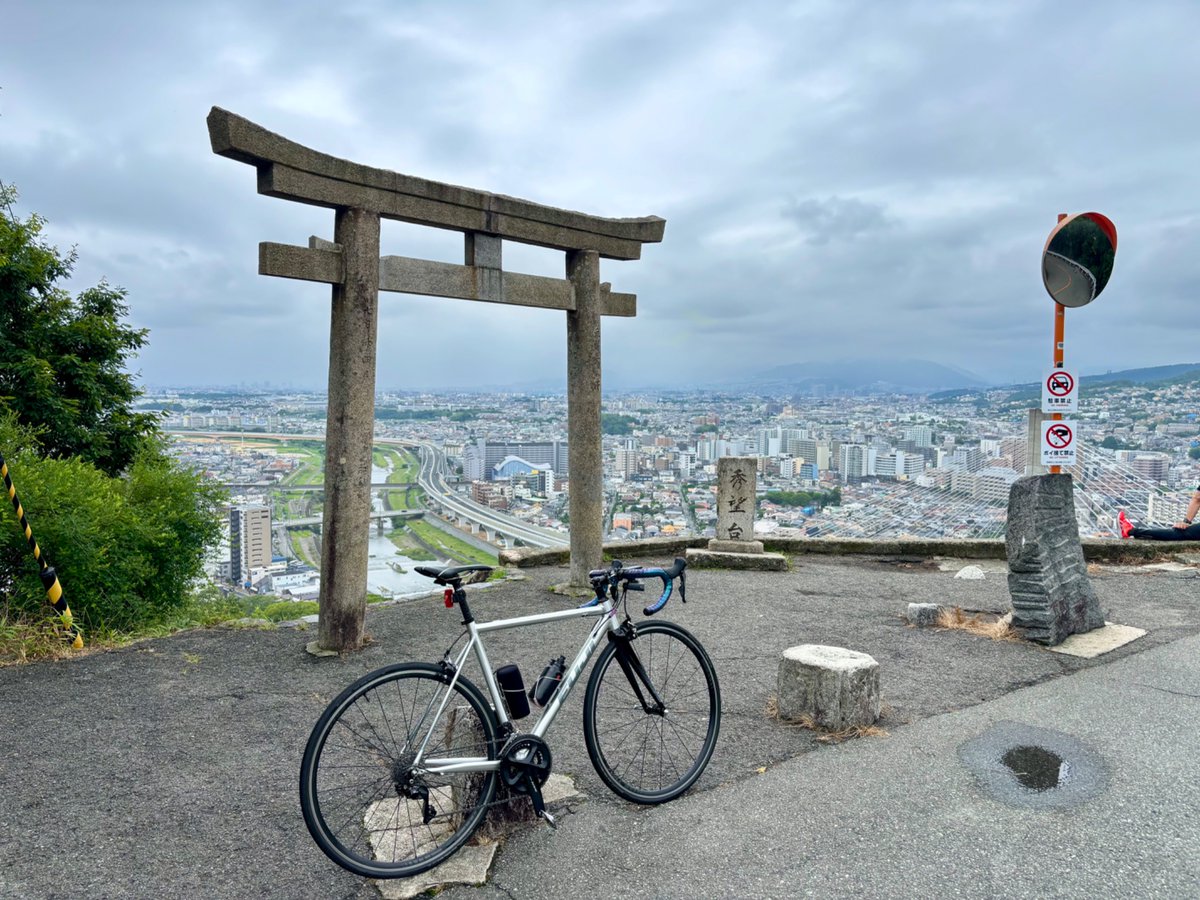 _pemopemo's tweet photo. 五月山の愉快な仲間に久々に会えてラッキー✌️山の中は雨が降っています https://t.co/70nLwPctwt