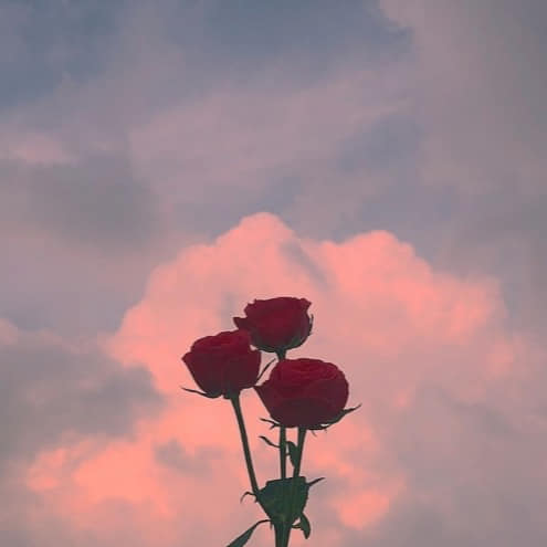 aestheticspost_'s tweet photo. https://t.co/DmHzPwd6dx