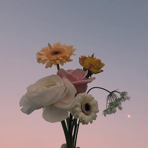 aestheticspost_'s tweet photo. https://t.co/DmHzPwd6dx