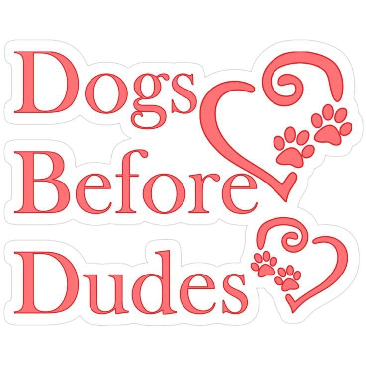 Pawgirlie28's tweet photo. Oh Yeah! 💞💕🐾 https://t.co/pWcZab8vfH
