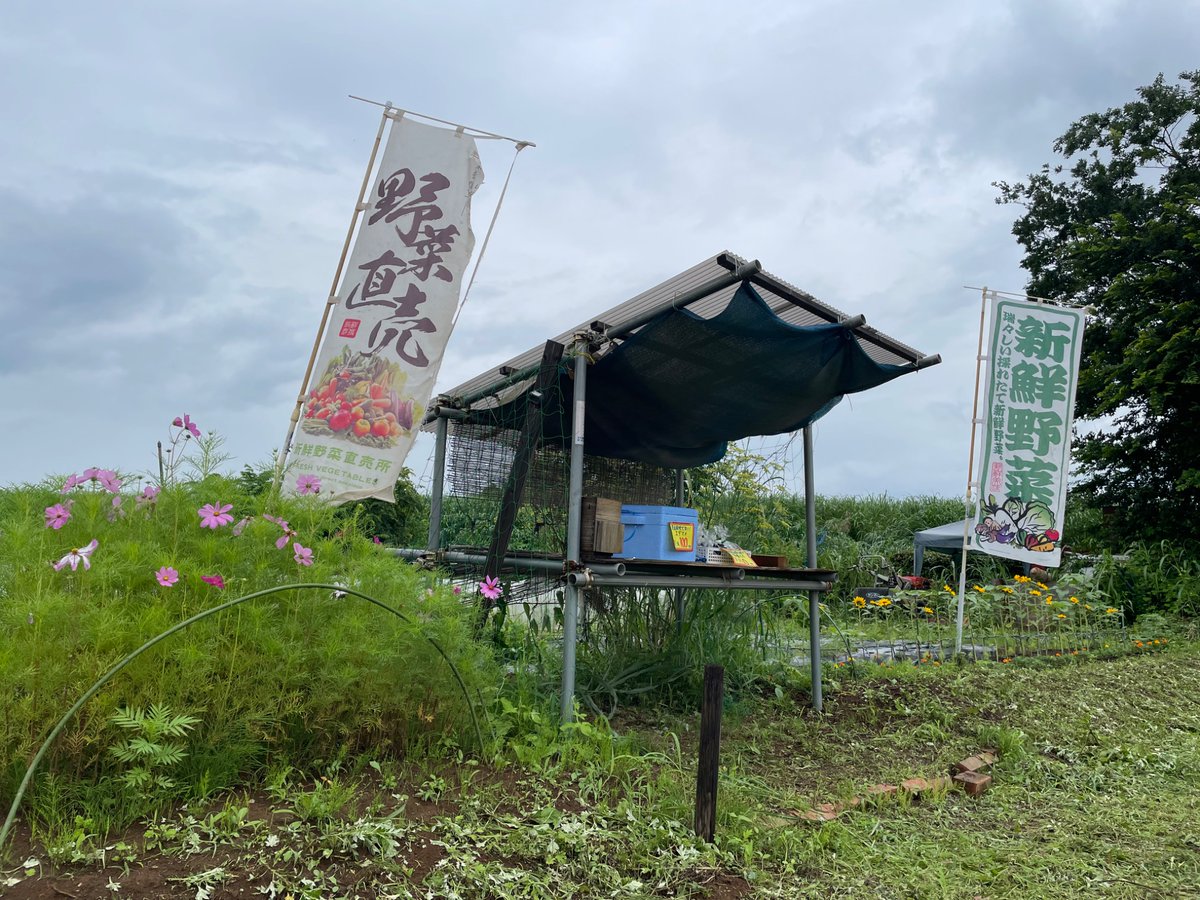 MujinYasai's tweet photo. こんにちは！
本日も枝豆と夏野菜を販売中です。
枝豆はこの後補充します。
お店の周りを彩るお花も咲き始めておりますので、ぜひご覧ください。
なお、ご来店の際はお足元にご注意下さい。
今日も営業開始です！
#朝霞市 #野菜 #直売所 #枝豆 #ナス #シシトウ #トマト #ニンジン https://t.co/kbs8TFy9tz