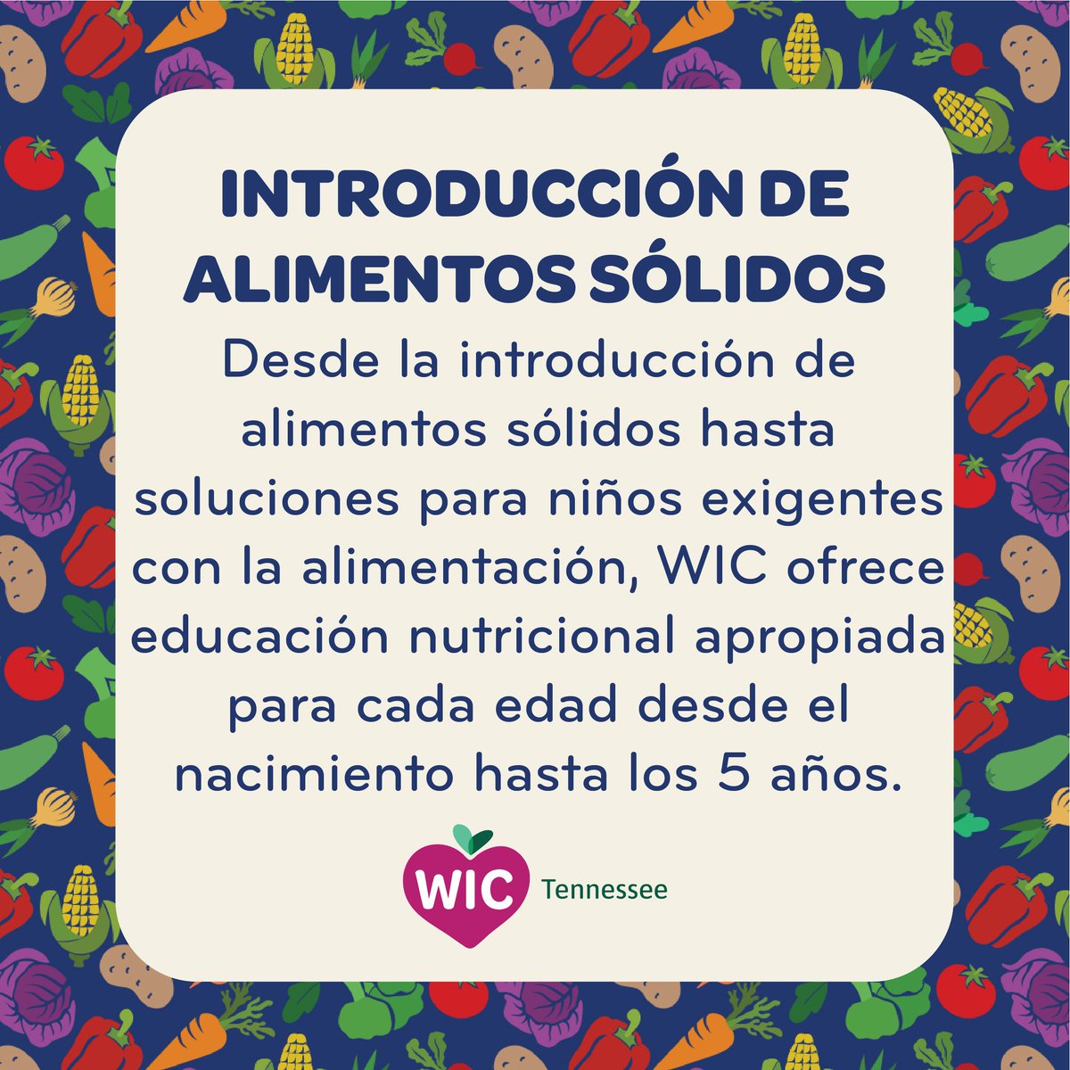 TNDeptofHealth's tweet photo. WIC no se trata sólo de alimentos; se trata de conocimiento.

Para aprender más, visita https://t.co/HnyDo6FMTS

#TNWIC #TNDeptofHealth #FamiliaSaludable https://t.co/rEvMDbR3QZ