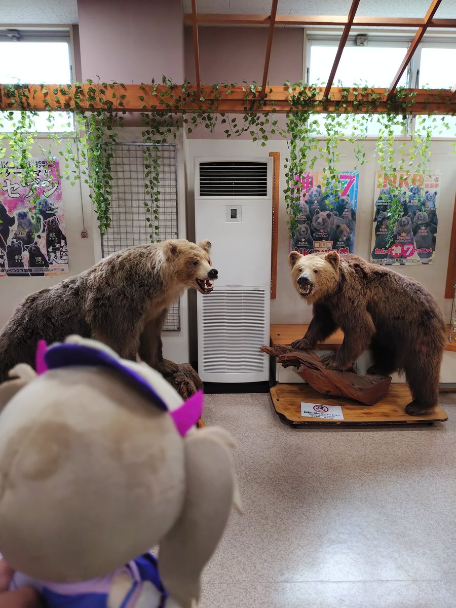 kamilsbug's tweet photo. クマ牧場だよ、つくぬい https://t.co/d8VkUxGgct
