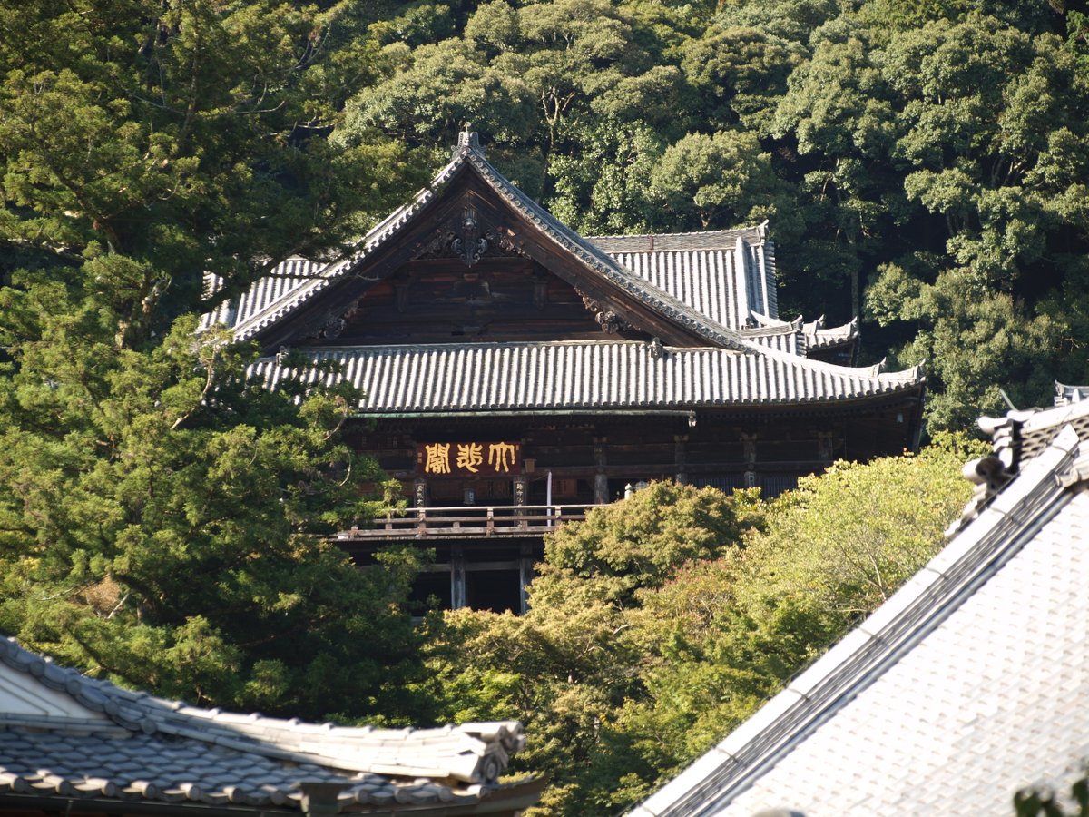 kakezukuri's tweet photo. 全国に同名のお寺を伝播させている総本山
ご本尊の十一面観音や懸造り舞台だけでなく、牡丹や紫陽花もセットで「花の寺」としても広まっている
平安時代の女流作家もこぞって参拝したという、歴史、宗教、文学的にも重要なお寺 https://t.co/dLm7SxOH5q