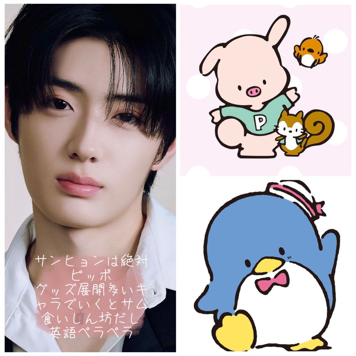 chu_leoz's tweet photo. 古のサンリオオタクによるALD1とサンリオキャラの組み合わせ

※自認以外は性格とか雰囲気重視で決定

シンロン アンシン サンヒョン編

#ALD1 #ALPHADRIVEONE https://t.co/5bf0X0o79I