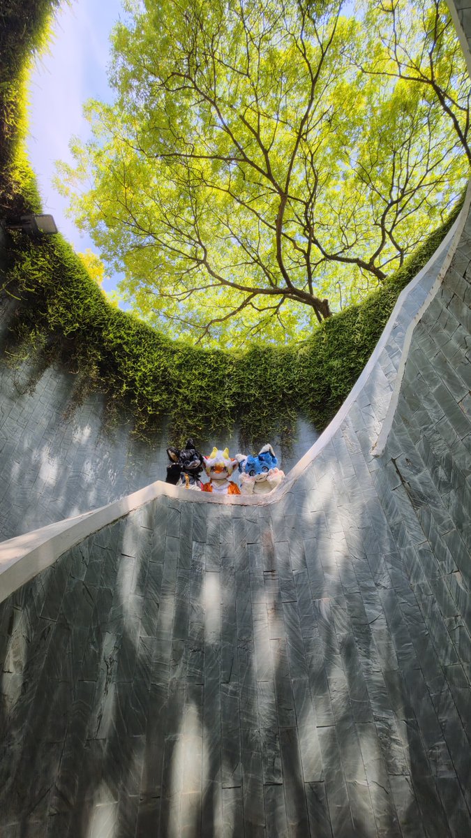 ThisIsThePi's tweet photo. Would like to feature another highlight of #singapore! Which is #fortcanning park! Had some amazing photos! Try to get the om the weekday, we waited an hour for the photo. Fun time with @chanchansg96 and @Ayy0151! Lets hangout again in the future!!! https://t.co/NNM0nAR4jE