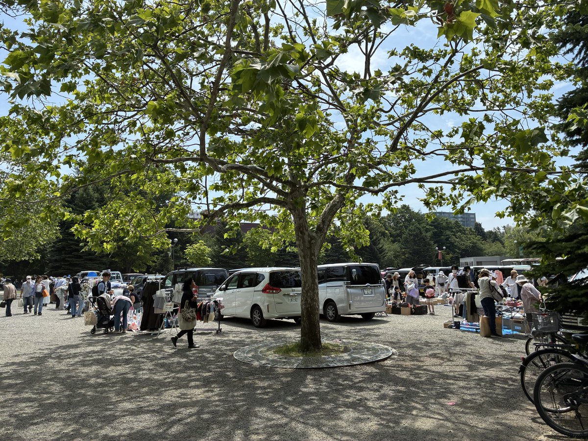 ayumisasaking's tweet photo. 今日は中島児童館のお祭りandフリマ！園内のあちこちで賑やかな人だかりができていています。わたあめ20円に惹かれました。
今の季節、あちこちでお祭りがあって楽しい！
#中島公園 https://t.co/L9jjI3W0gF