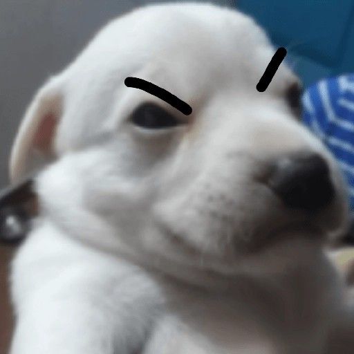 Boxboik's tweet photo. Estoy entrenando en crisis, asi que voy a verme algunas memorias por YouTube, Y REGRESENME A VALKO YA INFLOP LA CON-

#BRINGBACKVALKO #BringValkoBack #ValkoReturnToLADS https://t.co/mIN5J7HbDI