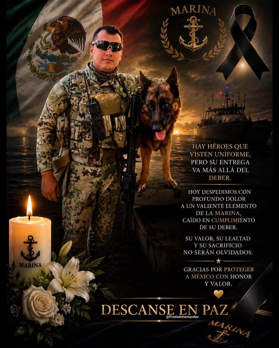 JJDiazMachuca's tweet photo. Tragedia en el sur: Muere marino tras explosión en la zona rural de Mazatlán

No hay terrorismo en México: @OHarfuch 

Un elemento de la Secretaría de Marina (SEMAR) perdió la vida y dos más resultaron heridos este viernes tras la detonación de un artefacto explosivo en las inmediaciones de la comunidad de El Recodo, al norte del municipio de Mazatlán.

El fatal incidente se registró mientras el personal naval realizaba labores de resguardo y acompañamiento a un colectivo de madres buscadoras, quienes llevaban a cabo tareas de rastreo de fosas clandestinas en un predio de la zona.

Emboscada con artefactos explosivos
Aunque los primeros reportes sugerían que el vehículo o los elementos habían pisado accidentalmente una mina antipersonal, las investigaciones de las fuerzas de seguridad apuntan a una agresión directa por parte de civiles armados, quienes habrían utilizado artefactos explosivos improvisados para frenar el avance del convoy militar.

El elemento que perdió la vida fue identificado como el Capitán Christian «N», quien debido a la gravedad de las lesiones causadas por la onda expansiva falleció mientras era trasladado de urgencia al Hospital Naval de Mazatlán.