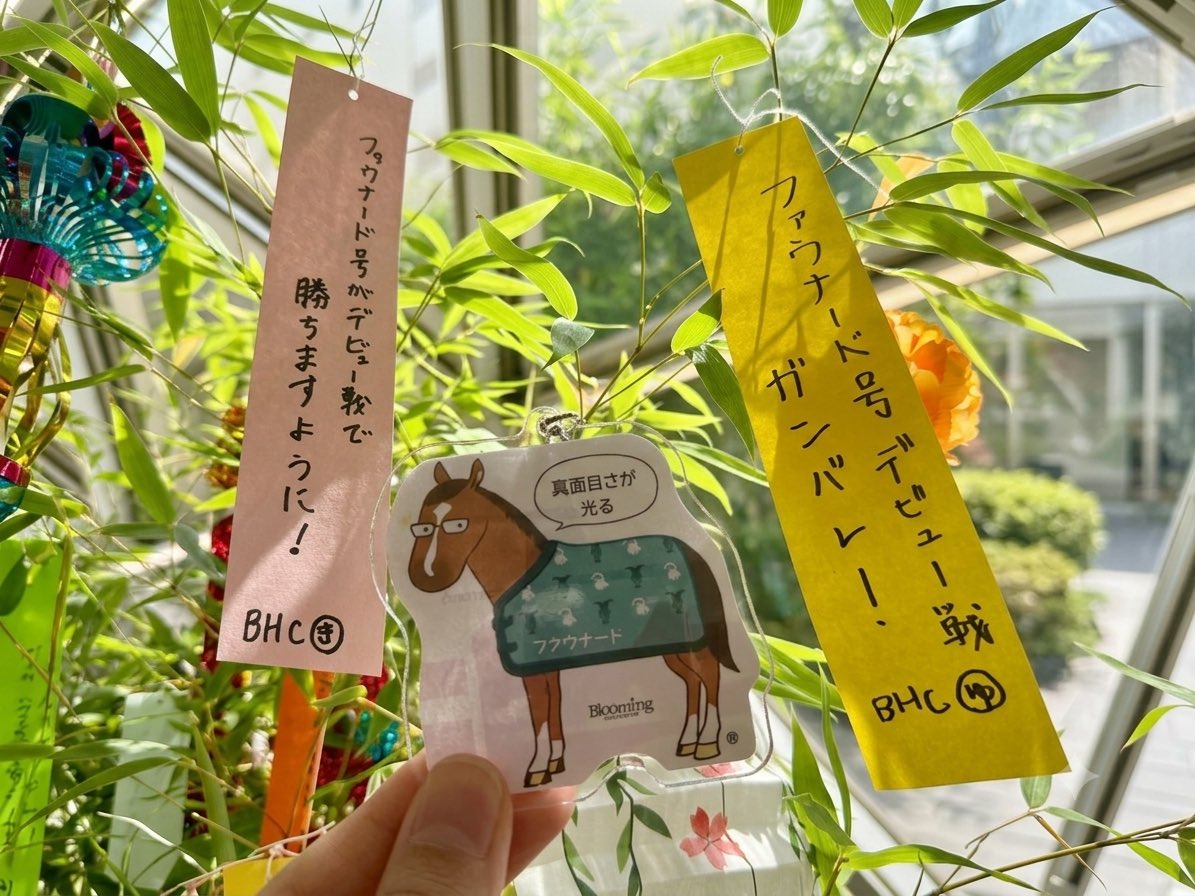 Blooming_HC's tweet photo. おはようございます☀️

本日は、Blooming Horse Club 所属馬デビュー2頭目となる #ファウナード号 のデビュー戦です🐎✨

福島5R（12:20出走）

みなさま、ファウナード号に熱いご声援をお願いします！📣

#ファウナード
#BloomingHC
#ブルーミング
#デビュー戦 https://t.co/K10MujvbEa