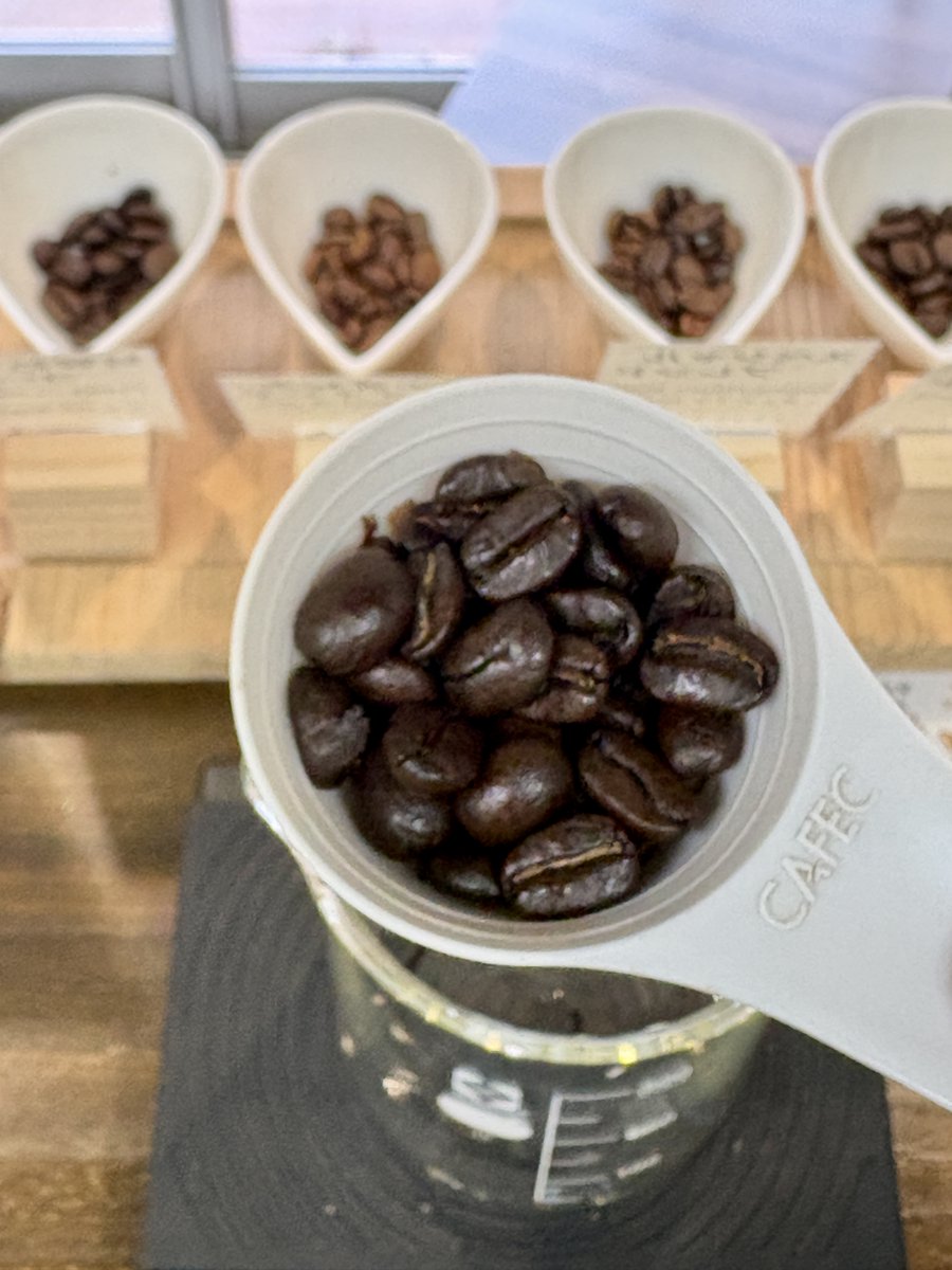 coffeejunkies5's tweet photo. 伏見深草の小さな間借りコーヒースタンド「あおいコーヒー」です☕
今朝はどんより梅雨空の京都伏見です。

本日の日替わり☕は、東ティモール🇹🇱
ふっくらして綺麗な豆。
喉の奥で感じる少しスパイシーな苦味。

7/5（日）17時まで営業しております。

ご来店お待ちしております。 https://t.co/vbVNO2bNEx