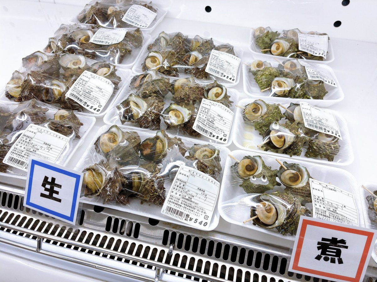 ajisaikan's tweet photo. 昨日に引き続き活あわび＆生サザエも出てますが、今日はすぐに食べられるアワビステーキや、煮サザエもありますよー🔥✨️ https://t.co/Pr1PMW3eCT