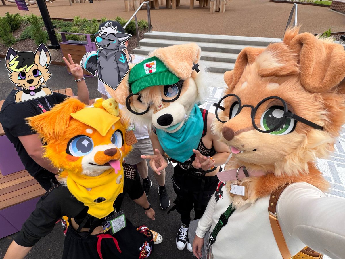 MaxFluffys's tweet photo. Floppy yellow dogs gang 🙌 https://t.co/3zvnxndw4F