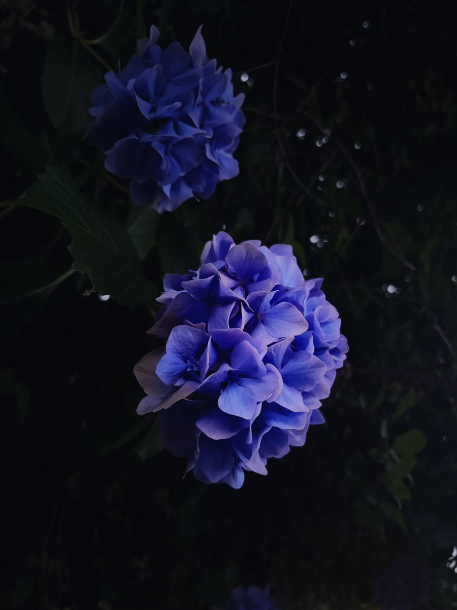 Mear1e's tweet photo. iPhone16 https://t.co/1c1dLz6ZXb