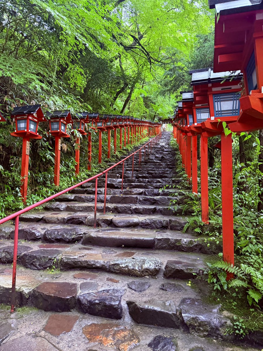 Tiii38's tweet photo. おじになってから行く京都とてもよきでした
どうして休みになると雨降るんですか？ https://t.co/AbHcjyeOh9