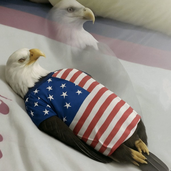 manAlanDevil's tweet photo. IT'S JULY 4th AND NO COUNTRY HAS MORE AURA THAN AMERICA $AMURICA https://t.co/PUXw6MoB0q