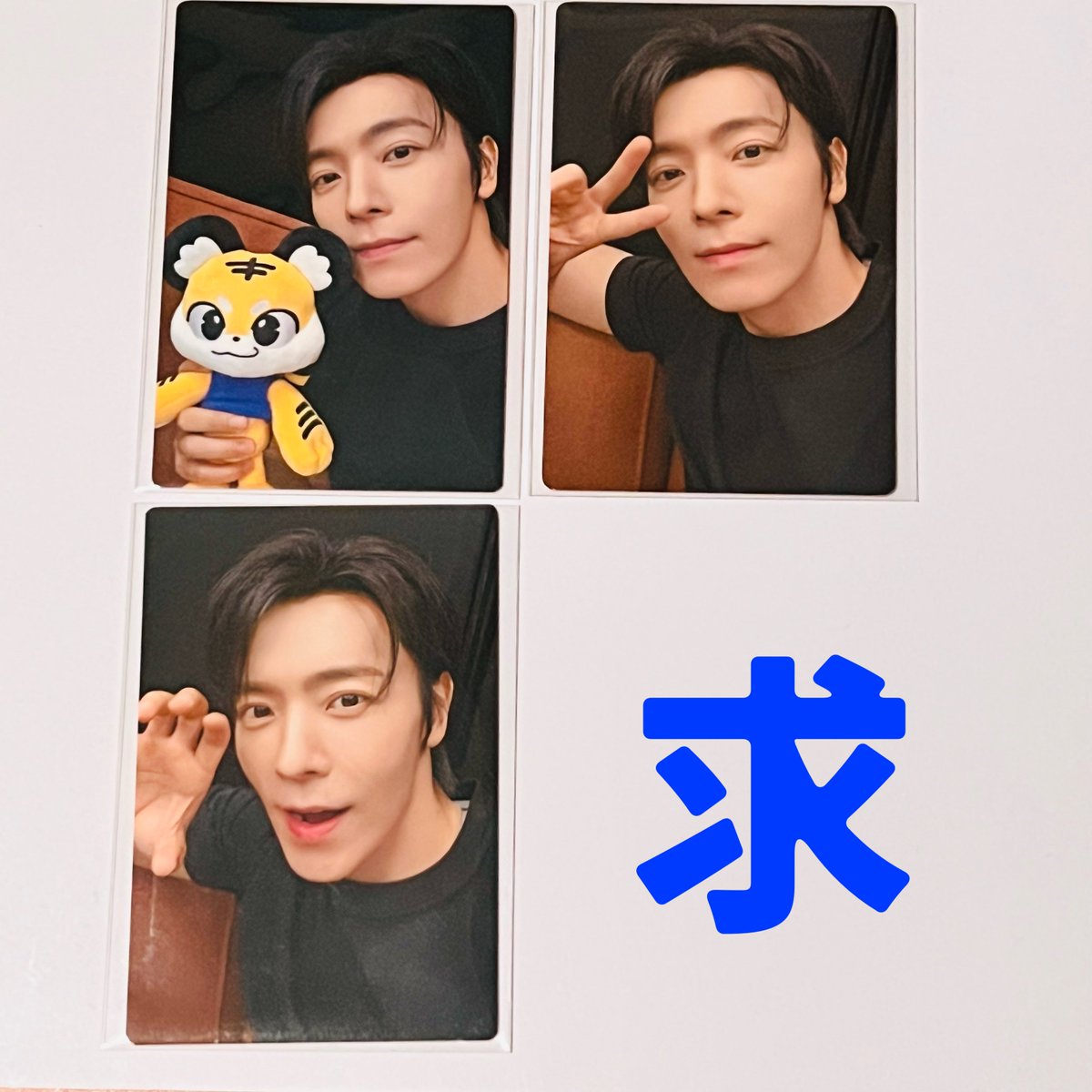 Super86fishNimo's tweet photo. 【 交換 】
SUPER JUNIOR ドンヘ ALIVE DONGHAE ランダムトレカ フォトカード

5日会場で交換お願いします

よろしくお願いします
 
#동해 #DONGHAE #ドンへ
#슈퍼주니어DnE #SuperJuniorDnE
#ALIVE https://t.co/SaHBYPbT9G