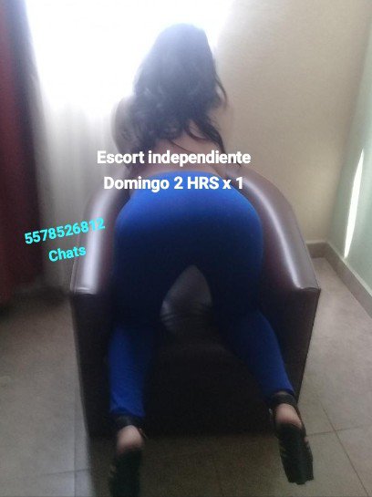 scortindep0x's tweet photo. Scort independiente lunes
Disponible en pinosurez 
😈🤑🥵🏩
Info por chat 5578526812.
@Scorts_selim11 
@CdmxPromos 
@scorts_cdmx 
@NaucalpanSexo 
@Sexo_y_Vida 
RT 💋😈😈 https://t.co/WcAl0hVXzr