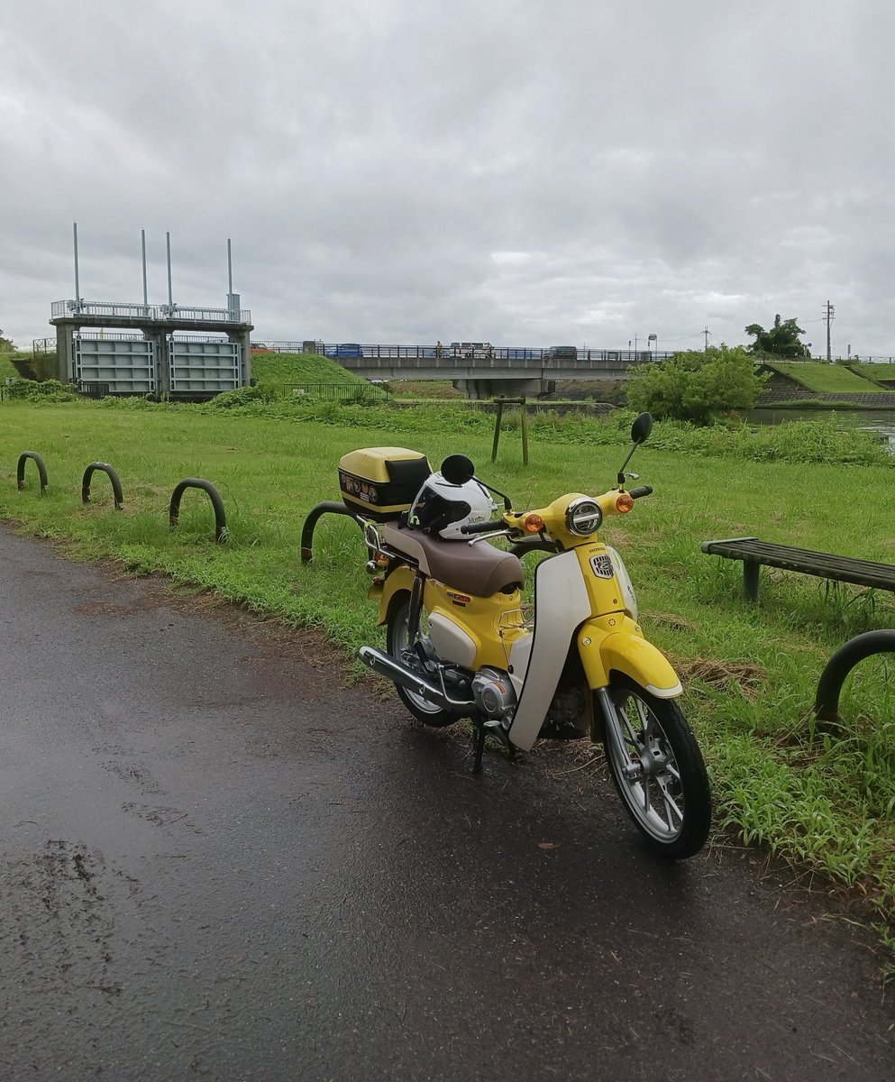 いつもの湖まで散歩🏍️に行ってきたですって😆 雨☔あがりで暑くも