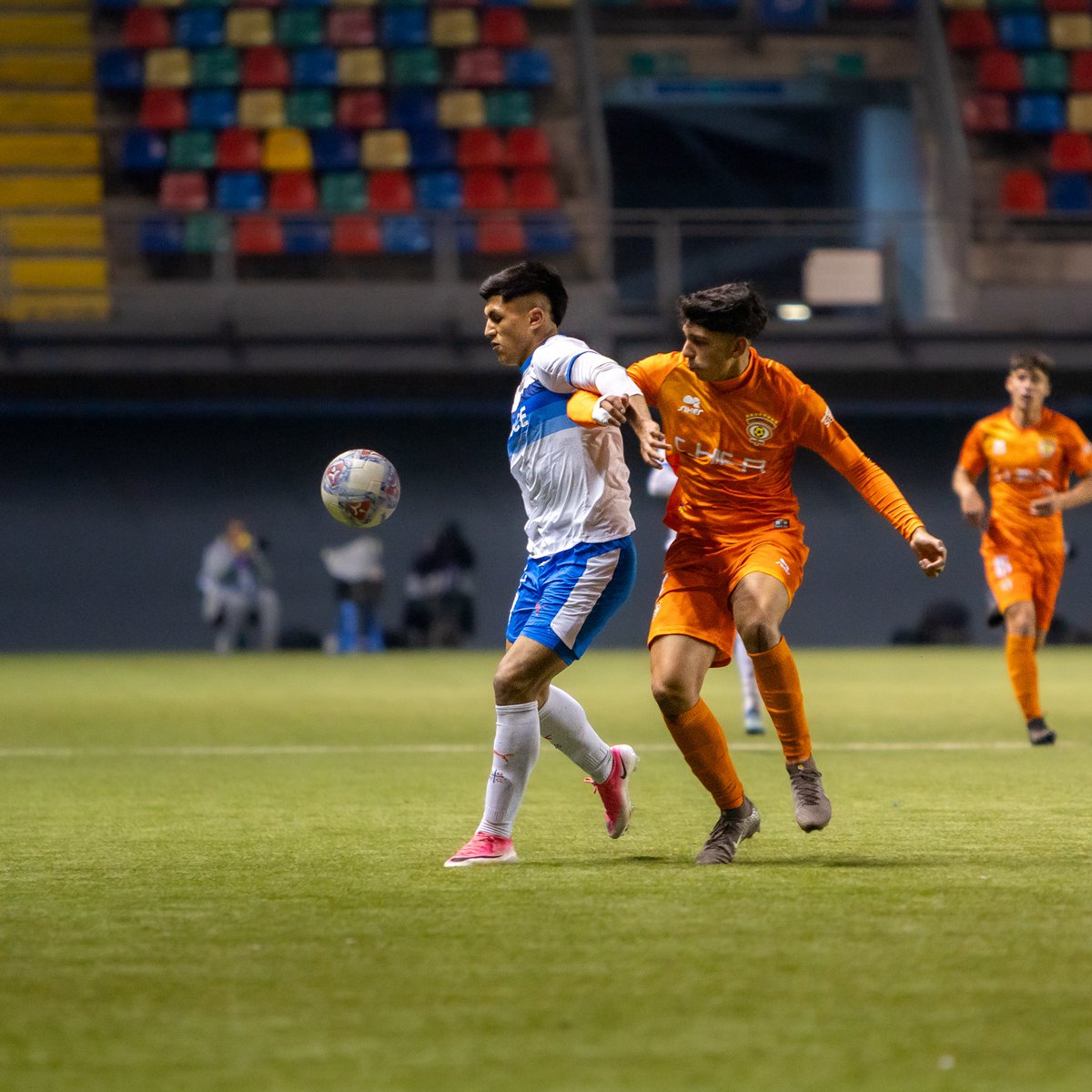 Cruzados's tweet photo. ¡𝐔𝐂 𝐒𝐔𝐁 𝟐𝟎 𝐂𝐀𝐌𝐏𝐄Ó𝐍! 🏆⚪️🔵

En una emocionante final y con el gol de Nico Girón ⚽️, nuestra serie juvenil venció 1-0 a Cobreloa y se consagró campeón del Campeonato Fútbol Formativo 2026 ✨️

¡Felicidades #CanteraCruzada, unos cracks! ✊️ https://t.co/6EL5QPGEWb