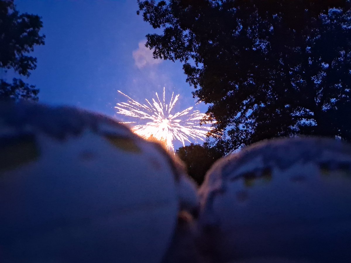 kosmicprince's tweet photo. Fireworks are loud but pretty!! https://t.co/sJxtv0F1dW