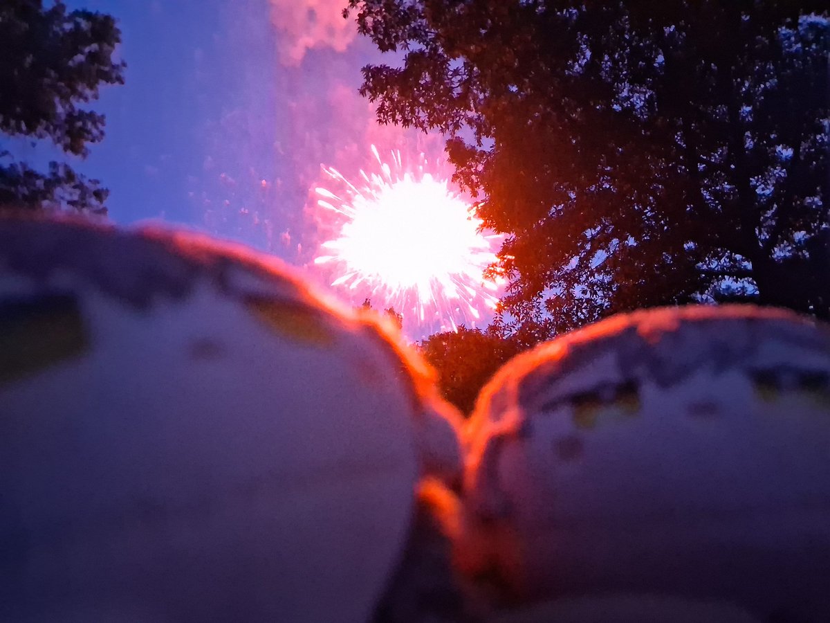 kosmicprince's tweet photo. Fireworks are loud but pretty!! https://t.co/sJxtv0F1dW