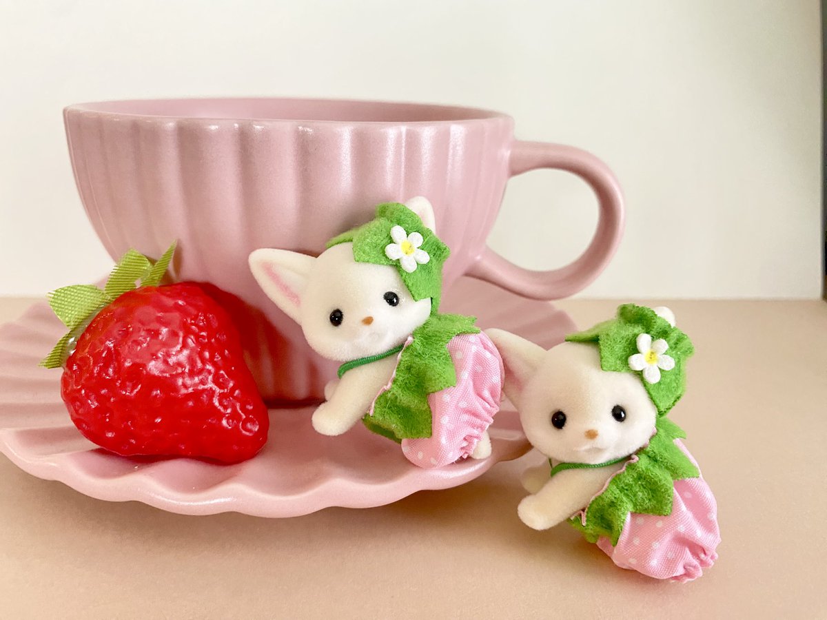 merokobeam's tweet photo. 「Cutie Collectibles -Very Berry Babies-」
フェネックちゃんダブりでした
かわいいからよし🍓🤍 https://t.co/McDDduHoQi