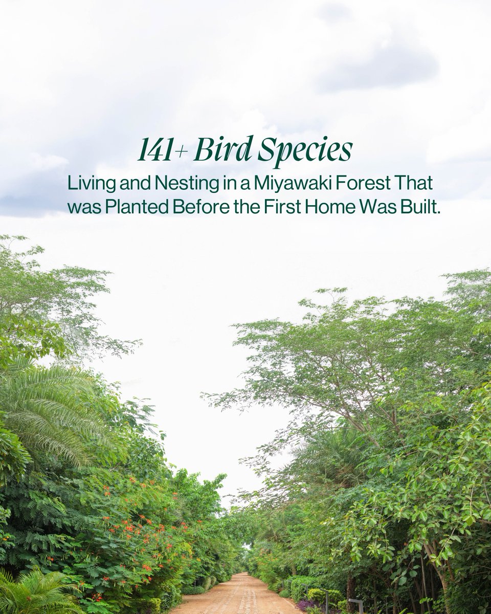 stonecraftgroup's tweet photo. The most beautiful residents at Woods Shamshabad never needed a welcome kit.
They just needed the forest to be ready.

What is the most beautiful thing you have ever captured on a camera?

#realestate #premiumrealestate #sustainableliving #hyderabad #india https://t.co/HbrGMpYHlW