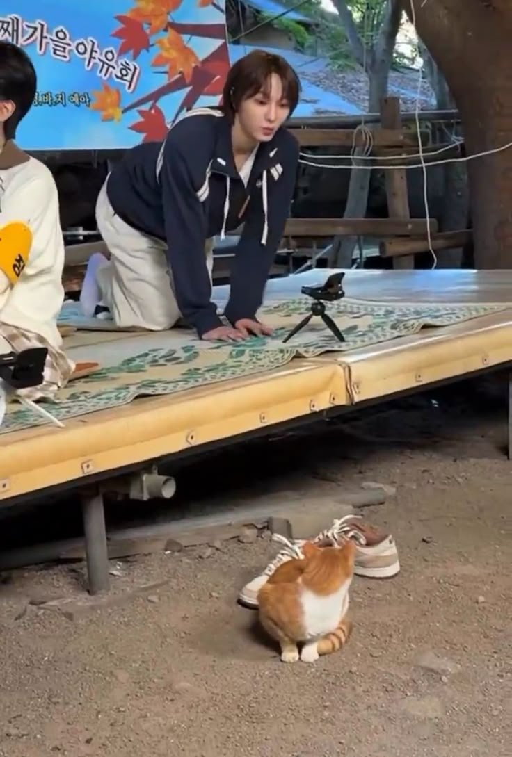 sungho 🐱 tweet media