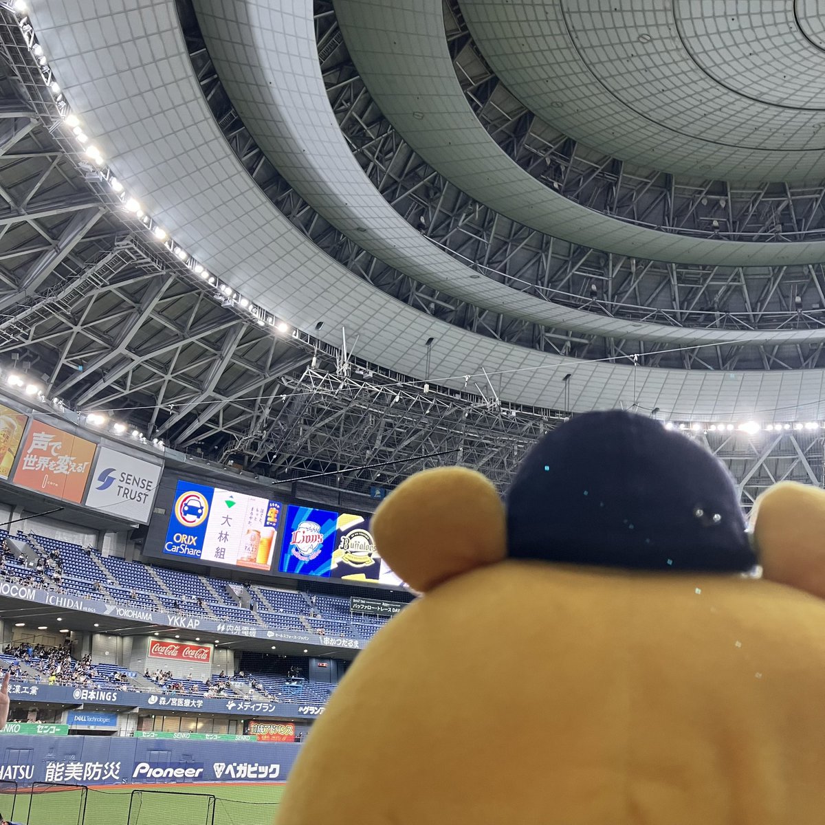 PRK_Republic's tweet photo. 今日は勝つわよ https://t.co/a4DdM8xb9N