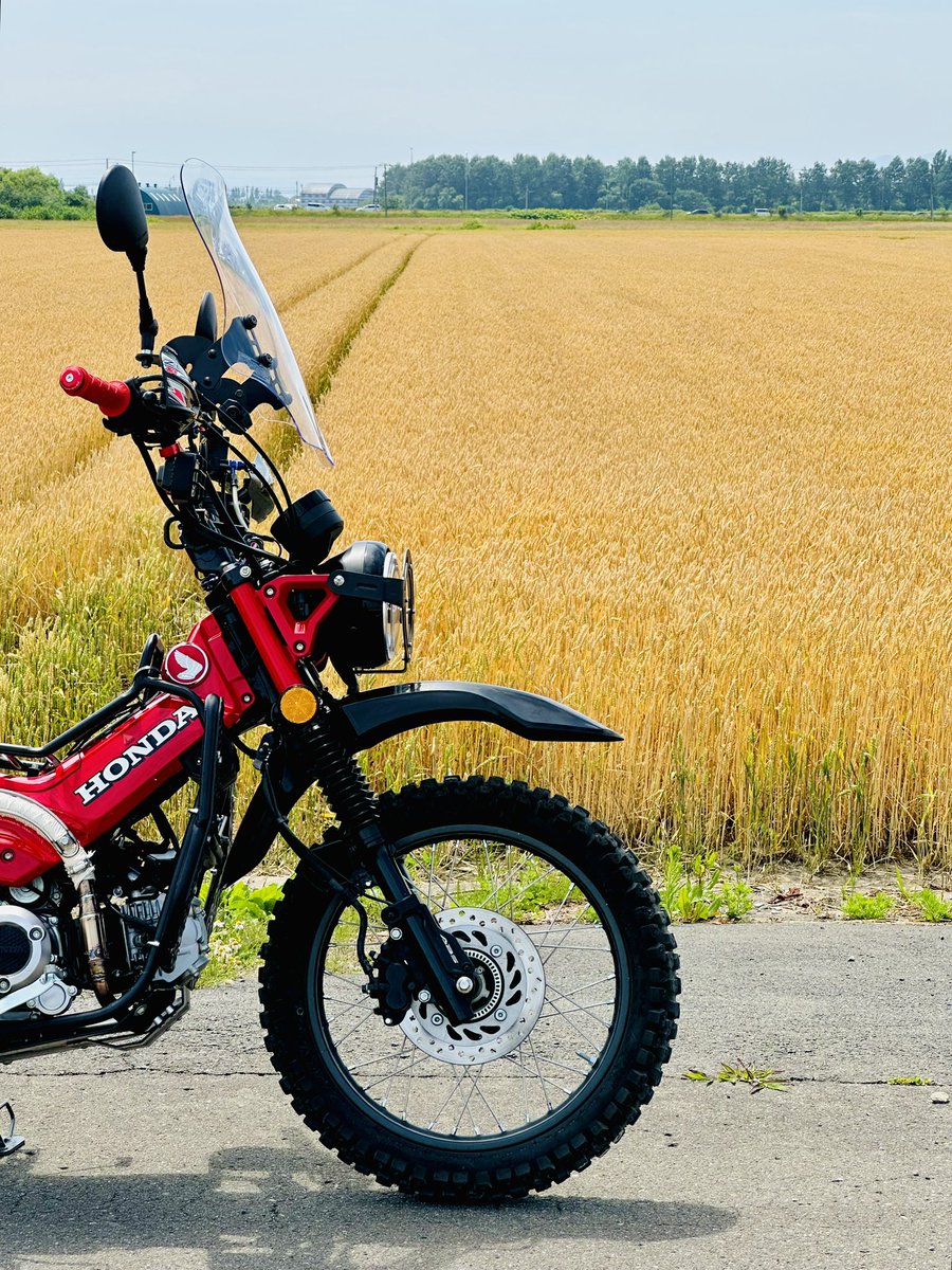 19_garage's tweet photo. 麦畑とCT125

黄金色ってやつね🌾
綺麗だったなー

#ct125
#ハンターカブ
#麦畑 https://t.co/fW5ehzYdl0