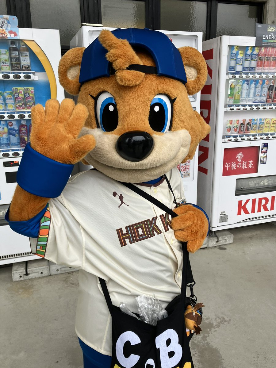 _na0_0na's tweet photo. カビーおはよう https://t.co/MJJYzIjZgm