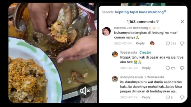 akunhewan's tweet photo. kejadian tapir yg diburu, dibunuh, kemudian dimasak rica-rica di mesuji (lampung) membuka tabir masalah yg gak cuma sebatas isu lingkungan.

kita juga punya masalah serius dalam dua hal krusial:
1. pendidikan
2. kemiskinan

tapir bukan satu2nya, banyak satwa dilindungi lainnya yg oleh warga dianggap wajar untuk dimakan.

sekadar mengingatkan, semua satwa dilindungi dijamin hak hidupnya oleh undang-undang, membunuhnya bisa dihukum penjara minimal 3 tahun dan maksimal 15 tahun.

sulit berharap pemerintul mampu menyelenggarakan pendidikan untuk warganya, please educate yourself.