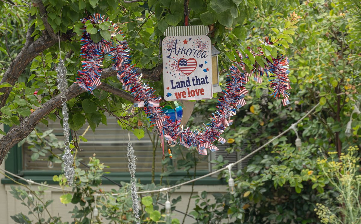 ShorealoneFilms's tweet photo. (3) Red , White and Blue covers the neighborhoods in #Pasadena #Altadena & #SierraMadre on this beautiful 4th of July & Americas 250th Birthday. The amazing show of color & pageantry is on every corner. 07-04-26 https://t.co/I9hkkzEhot