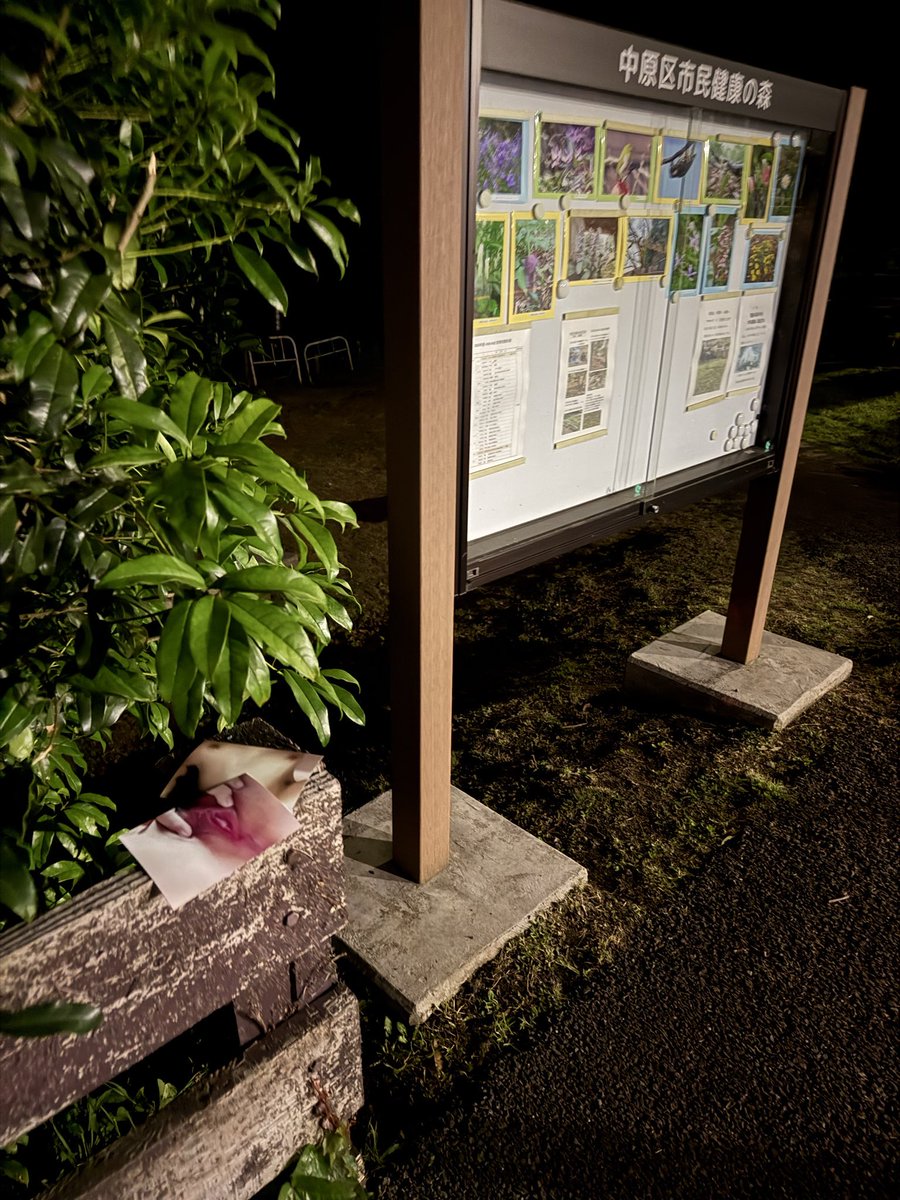 Kamerait's tweet photo. こういうの興味ある方ー！ https://t.co/xMl0dLLd2Z