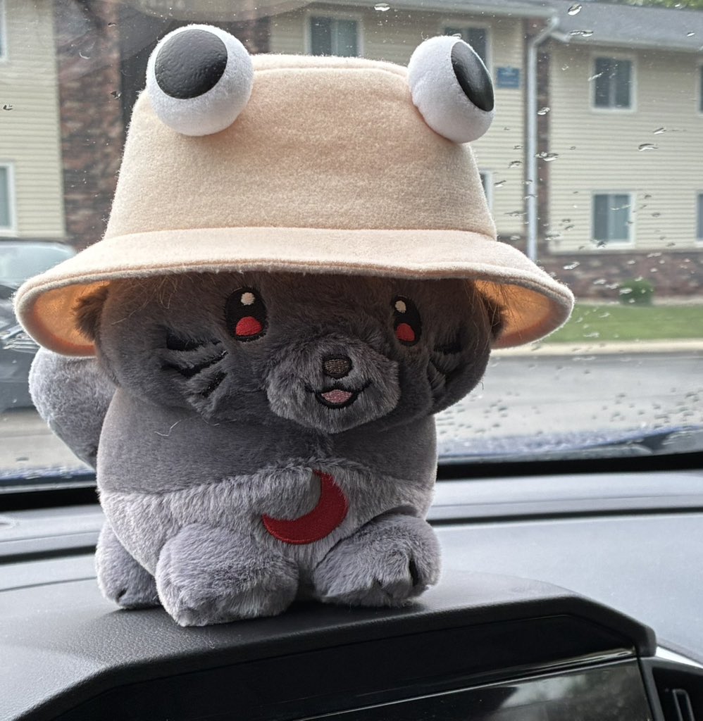 Ehbiah's tweet photo. went for a drive to watch fireworks with my little companion https://t.co/xsh8bFYFaQ
