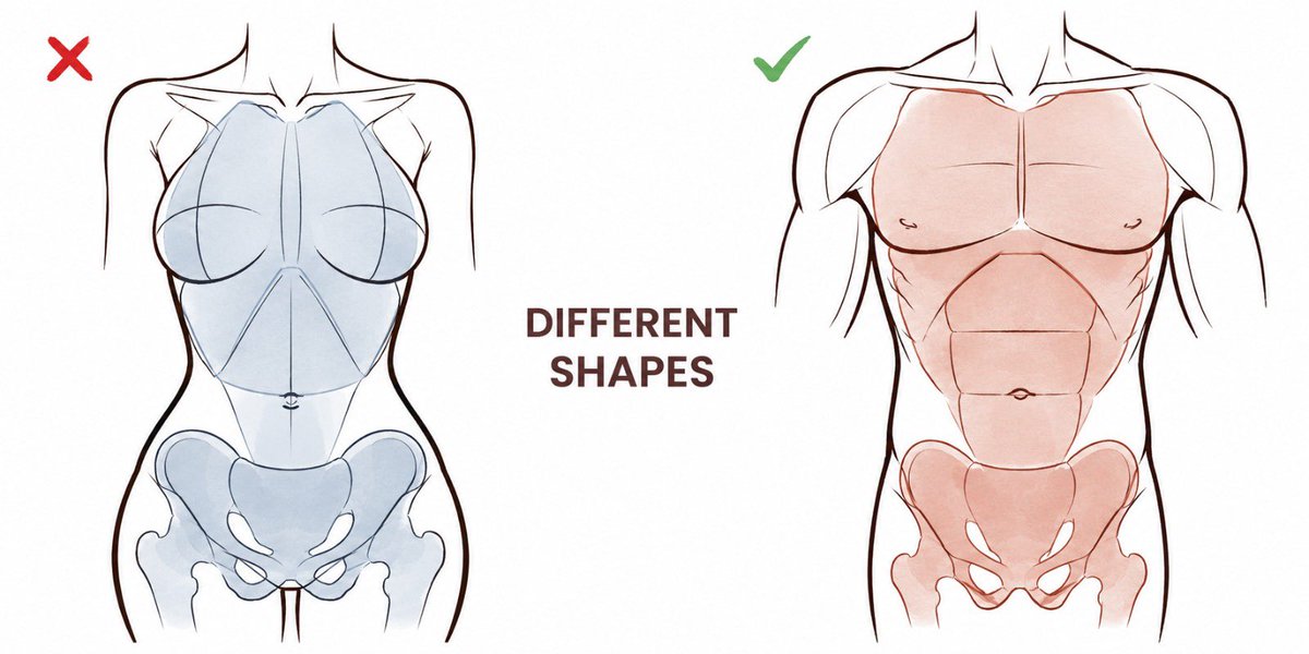 ChromaFlowx's tweet photo. different shapes https://t.co/CwTmqINcN2