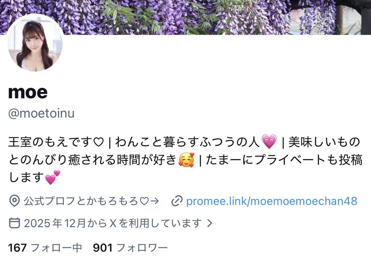 moetoinu's tweet photo. ついにフォロワーさん、900人いきました💕
ありがとうございますー😭 https://t.co/WUx6Y3VQmo