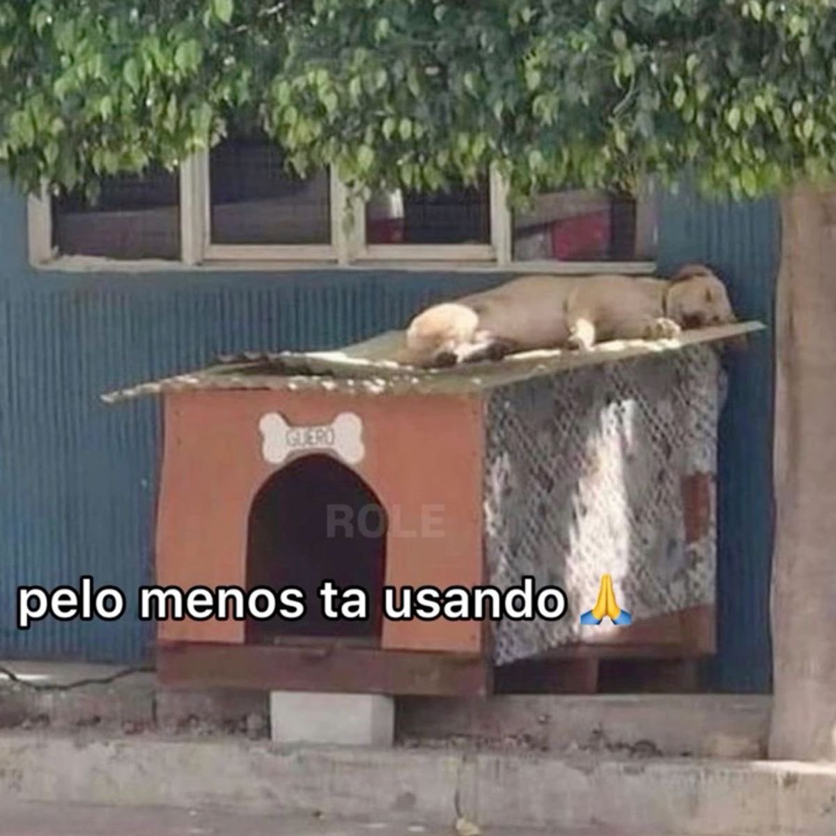 shitpostverdade's tweet photo. https://t.co/329QA57Yez