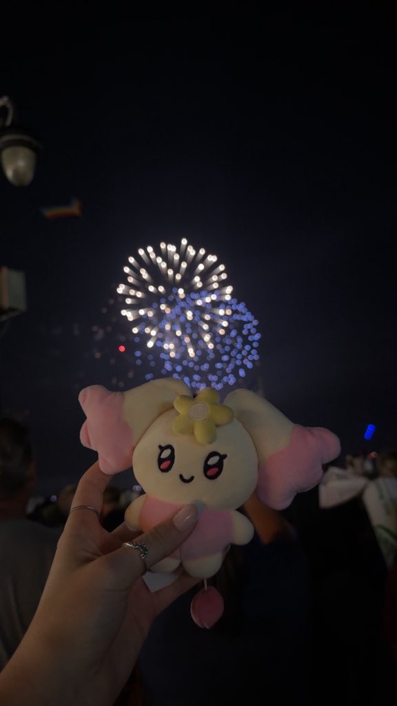 _fairybugg's tweet photo. ddangyo also saw fireworks on the boardwalk 🎆🎇 https://t.co/r0eyAARvrQ