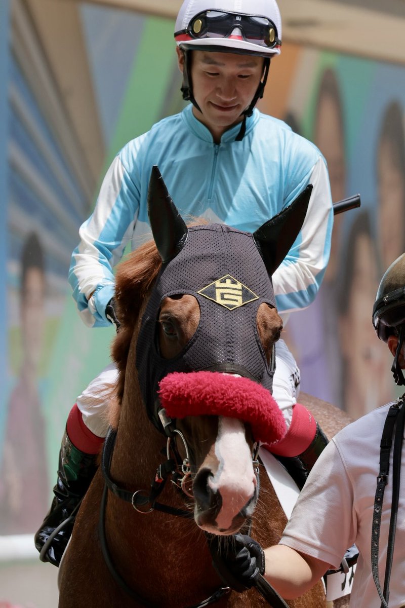 Yoocof's tweet photo. 福島競馬場3R
頑張れラスタリア☺️
怪我なく無事に📣
#ラスタリア 
#ゴールドシップ産駒 https://t.co/3E3BXsoJli