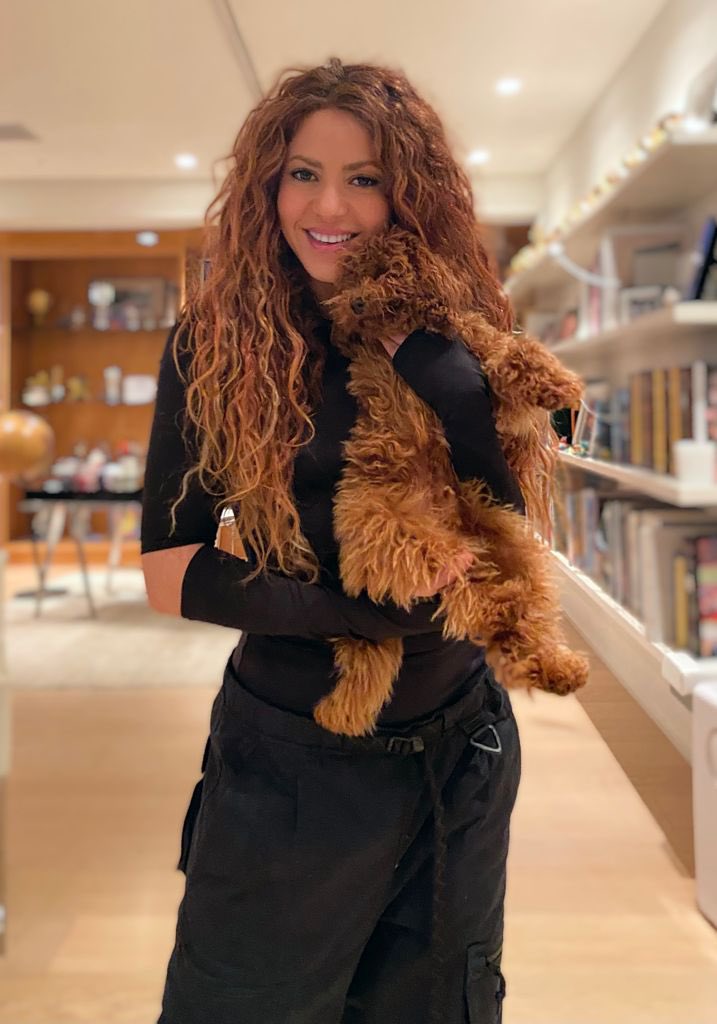 yobeelix's tweet photo. Depois de 5 anos, Shakira voltou a mostrar o Teddy (seu cachorro) nas redes sociais, e o divo segue vivíssimo, também queremos notícias do Toby (coelho) ❤️ https://t.co/fFA0WNXRrD